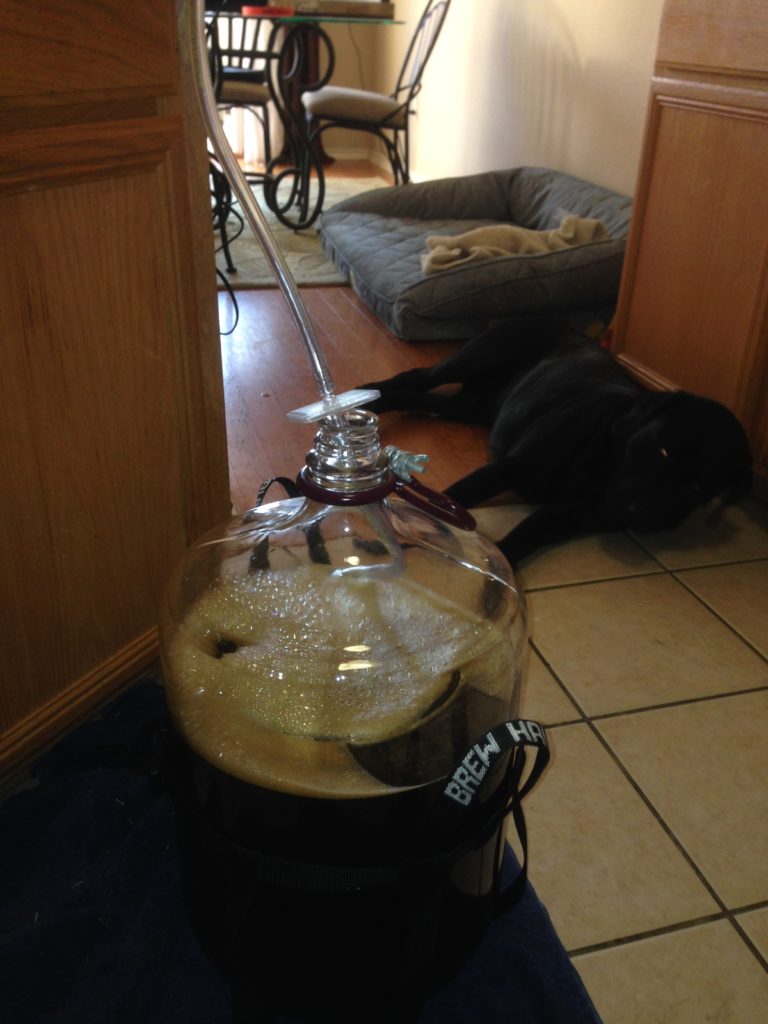 picture of All Grain Homebrew IPA