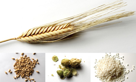 Natural Ingredients beer