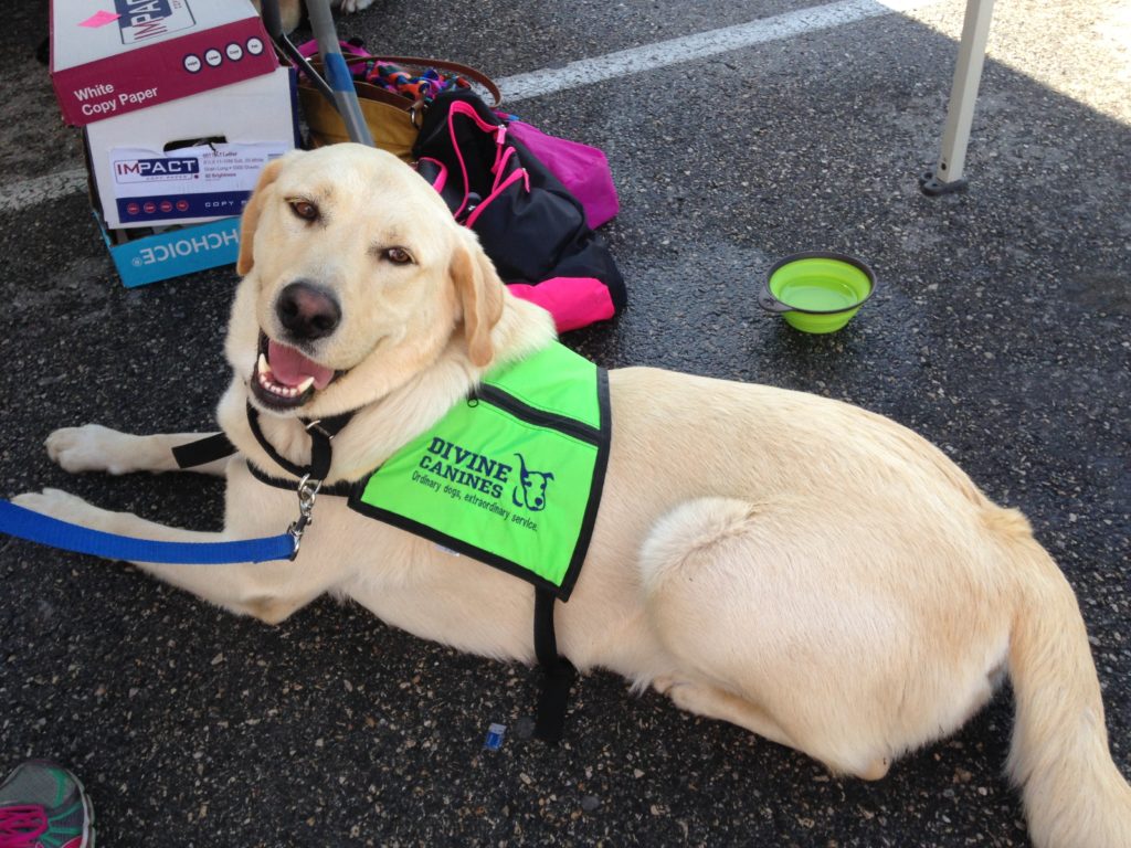 Barks For Beers Dog