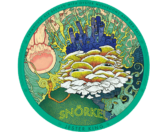Jester King Beers