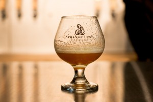 Bats & Beers Cruise with Strange Land Brewing