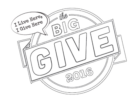 The Big Give 2016