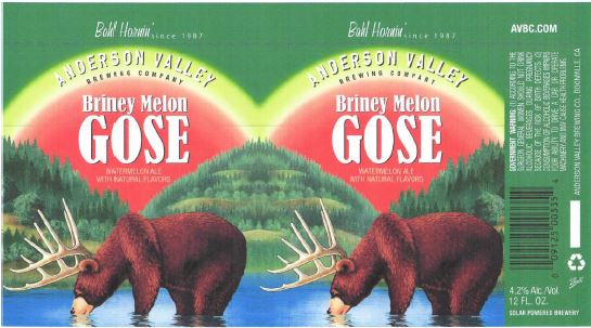 anderson valley briney gose