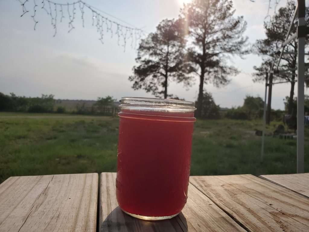 Wild Bunch Brewing Liquid Bake Sale Blu-Jay