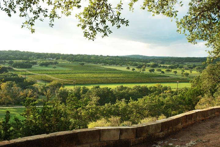 Driftwood Estate Winery